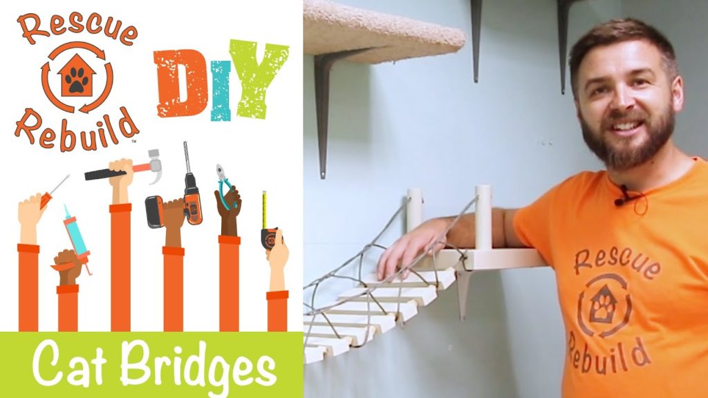 DIY: Building Cat Bridges