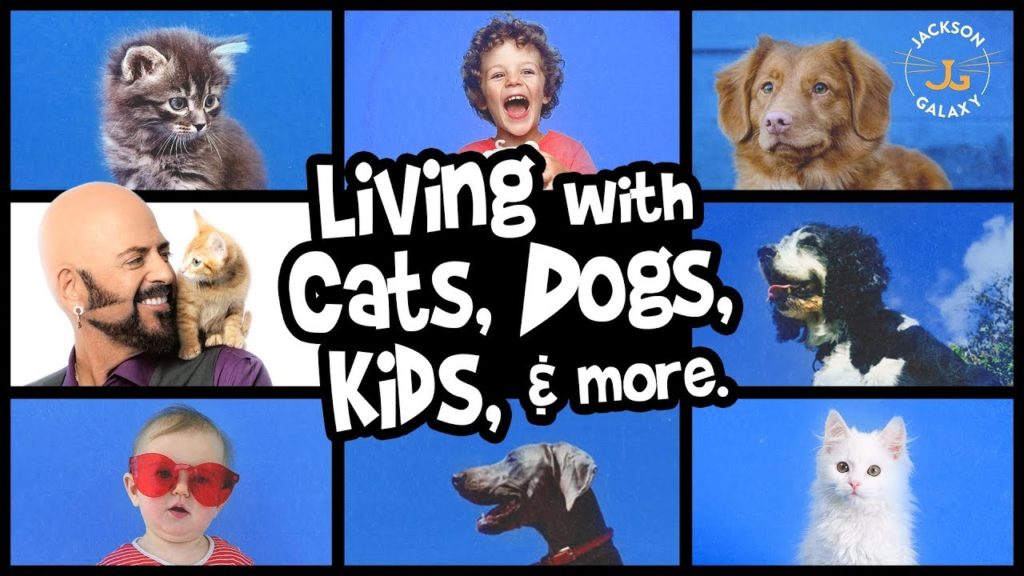 Total Home Harmony: Life with Cats, Dogs, Kids, & More